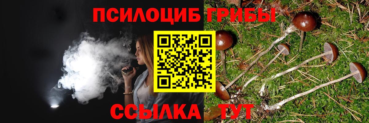 Подольск  Псилоцибиновые грибы мицелий  Вход с VPN 